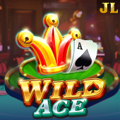 Wild Ace jljl55 play slot